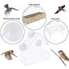 Bird Feeder Strong Suction Cup Design Acrylic Bird Food Feeder Easy To Clean Bird Food Container for Yard Garden