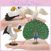 Pelican Wildlife Peafowl Animal Pvc Models For Kids Educational Decor Toys And