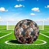 1pc Leopard Flowers Theme Soccer Ball Football, Size 5, Lightweight PVC, Outdoor Training Soccer Ball,Sports Gift t61427