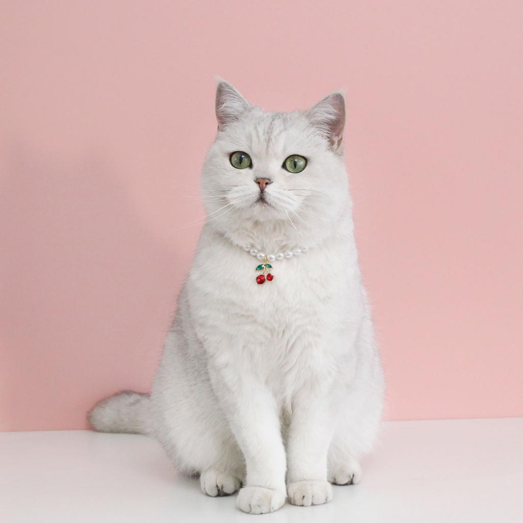 Привлекательный изысканный кулон с вишней для кошек и собак, ошейник с искусственным жемчугом, товары для домашних животных