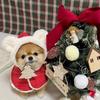 Warm Pet Christmas Hooded Bibs Soft Dog Christmas Cloaks INS Style Pet Christmas Cape  Christmas