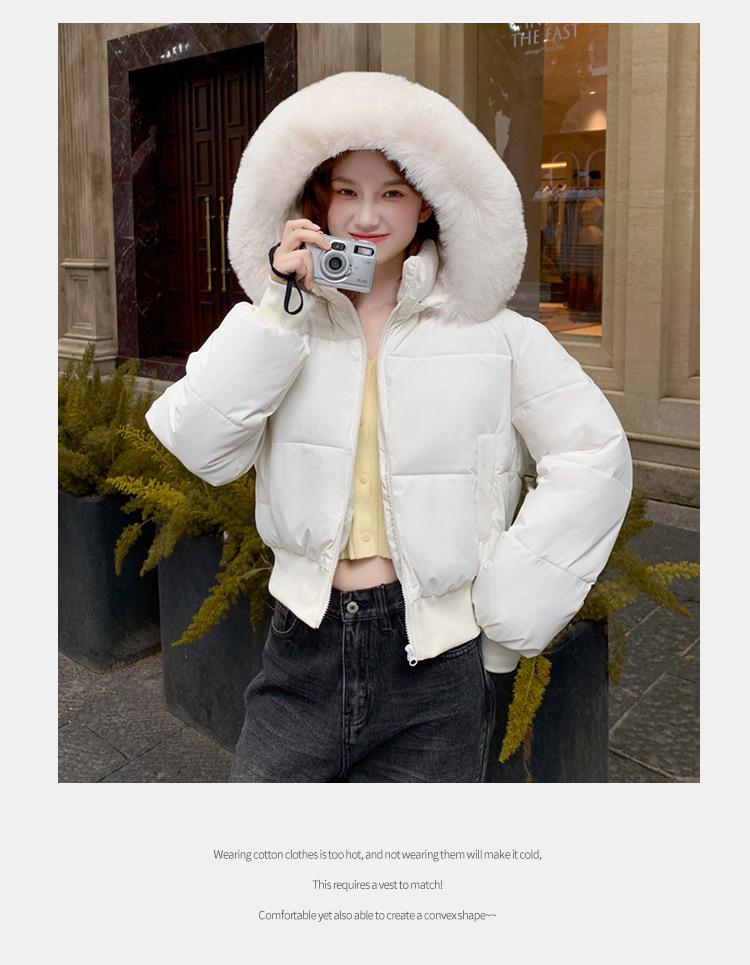 Women's Short Large Fur Collar Hooded Warm Cotton-padded Jacket
