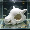 Aquarium Landscaping Ornament Skull Fish Tank Decoration Cave, Realistic Durable PLA Hideout Underwater Decor Shelter, 3D Printed Habitat for Aquatic