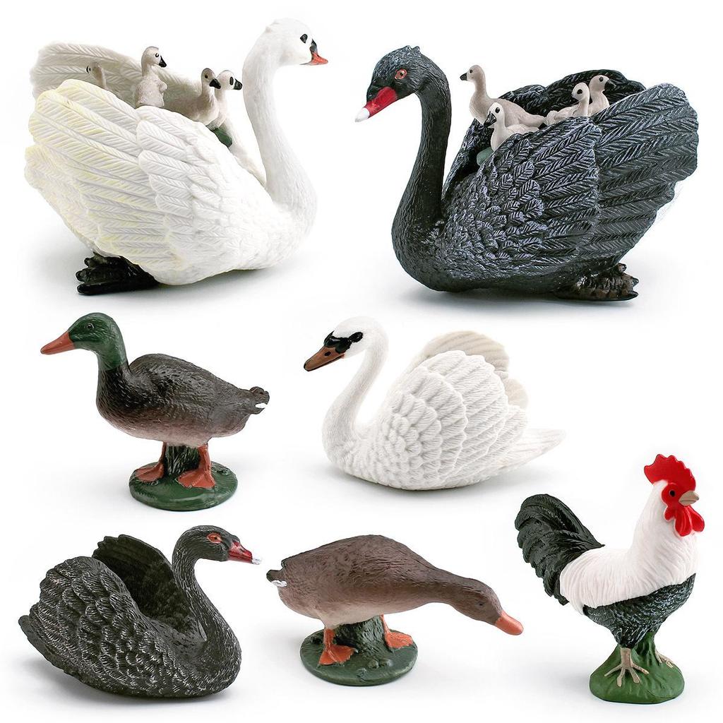 Cross-Border Poultry Model: Children's Cognition Mallard, Swan, Rooster Figurine Set