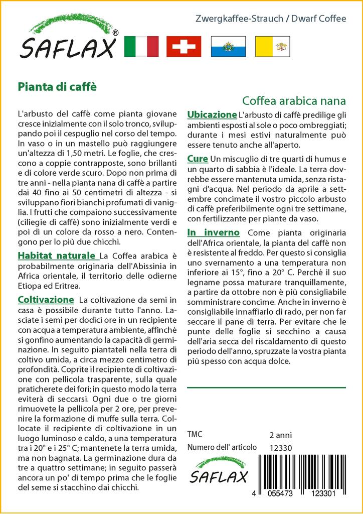 SAFLAX Кофе Карлик - 8 семян - Coffea arabica nana