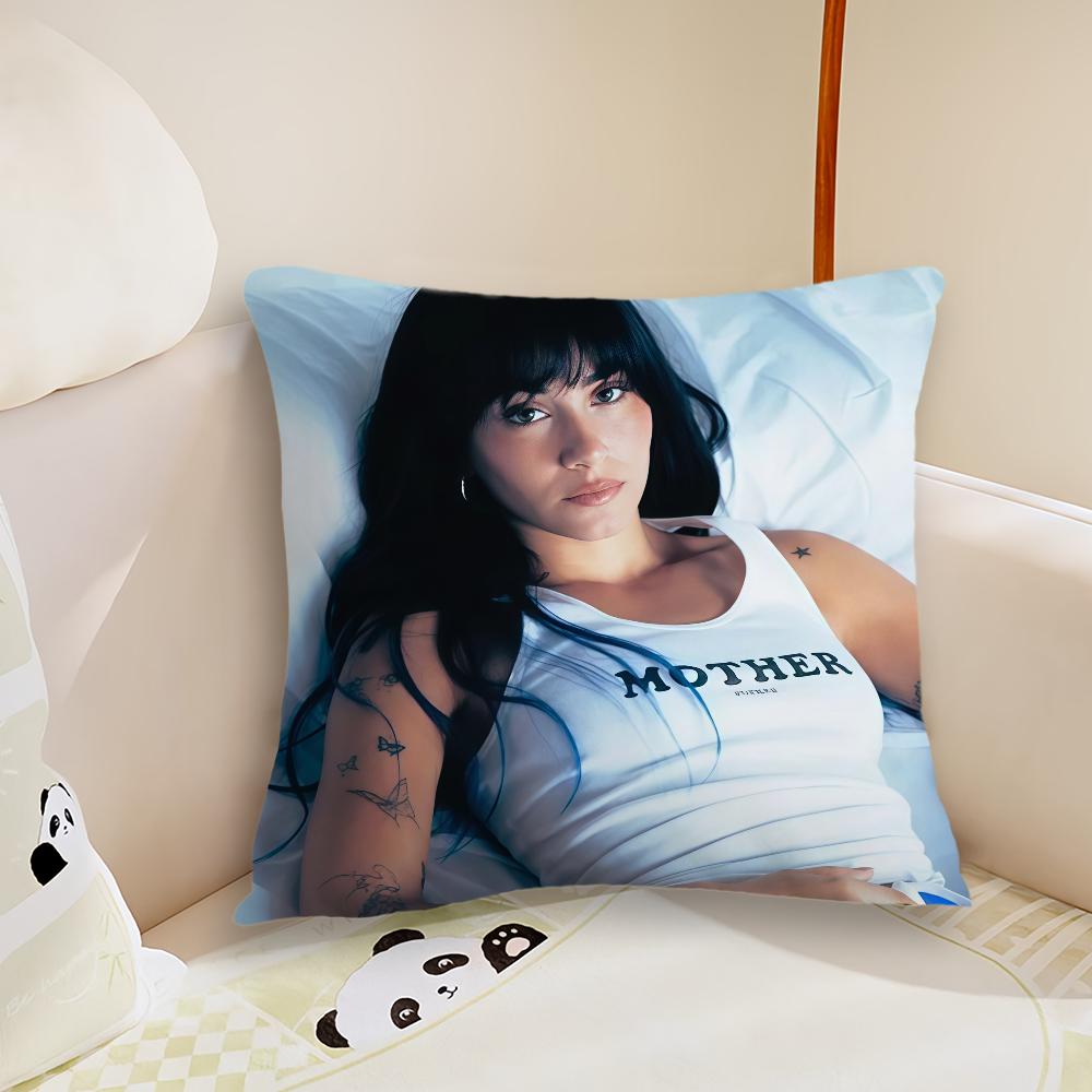 Singer AAitanaCuarto Azul cushion cover Plush Fabric Soft Double Sided Print Sofa Cushion Cover Throw Pillow Covers