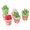 5Pcs Micro-Landscape Resin Cactus Horticultural Bonsai Diy Small Ornaments Toy