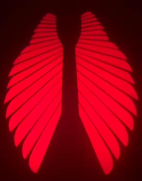Most Popular Motorcycle Projection Special Angel Wing IP67 Waterproof 3W 3000lm Aluminum Universal Fit Light for Motorcycle Bike
