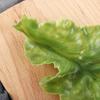 PU Kitchen Decor Artificial DIY Realistic Lettuce Leaves Vegetable Model Lettuce Adornment Kids Toy
