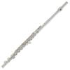 Flute Standard YFL-412