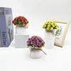 Plastic Rose Mini Potted Plant Bonsai For Wedding Photography And Decor Home