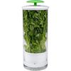 Anti-pressure Longer Fresh Herb Keeper Transparent Vegetables Preservation Bottle  Refrigerator