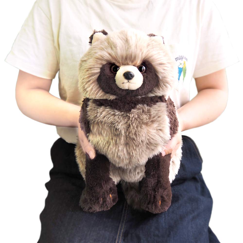 Sunlemon Knee Raccoon Medium 23 x 46 x 22cm Plush Animal Cute Fluffy Raccoon P-6282