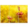 Three Piece Picture Canvas Print Withered Tulips Flowers