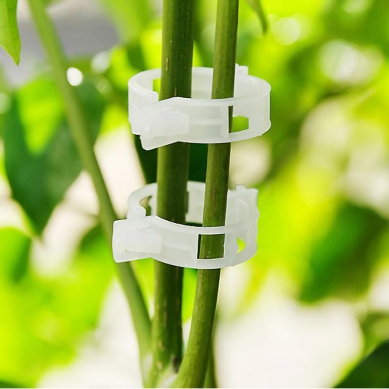 100Pcs Plant Support Clips Durable Vine Garden Vegetables 3cm For Types Plants Hanging Plastic Clips Plant Support