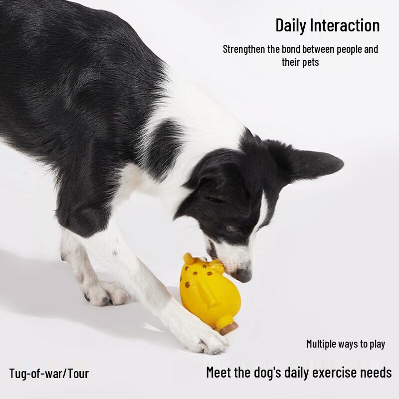 EETOYS Market Leader Squeaky Latex Dog Toy