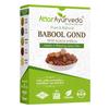 Attar Ayurveda Babul Gond Gum 250 G Natural Edible Acacia Arabica Resin For Ladoo Recipes Winter Wellness And Cooking Use