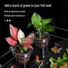 Wall-Mounted Aquarium Plant Basket for Hydroponics and Aquascaping