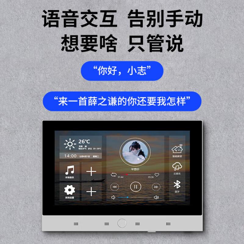 Lingsheng T7_K Smart Home Background Music System with 8 HIFI Karaoke Speakers CN plug (adapter included) (CN version)