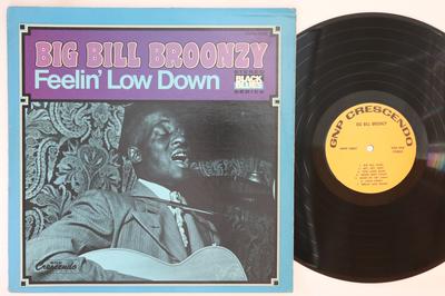Виниловая пластинка BIG BILL BROONZY - Feelin' Low Down GNPS10004 GNP CRESCENDO 1973 США Блюз Б/У