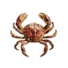 Metal Metal Pin 3D Relief Lapel Pin Gift Idea Crab Brooch  Hats