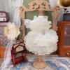 Vintage Palace Style Pet Dog Clothes White Lace Bow Princess Dress For Small Medium Dog Lolita Cake Skirts Puppy Dog Outerwear