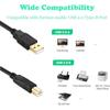 XBOHJOE USB 2.0 Кабель для принтера A Папа на B Папу Позолоченный Разъем Кабель для принтера и сканера Comp...