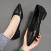 High Heels Women's Thick Heels Small Leather Shoes New Shallow Mouth Pointed Single Shoes Gentle Shoes Work
