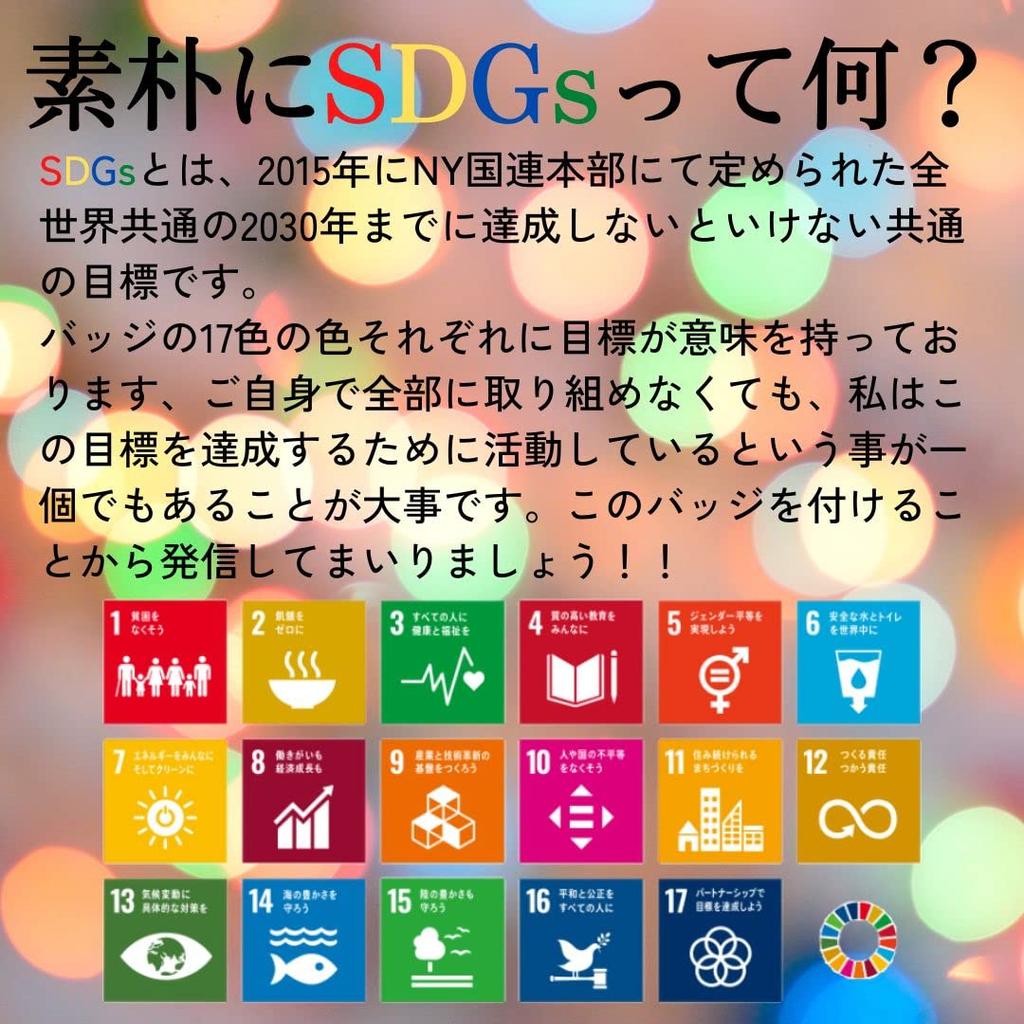United Nations Official System SDGs Badge 25mm Silver Rounded Finish SDGs Badge Pin Badge SDGs Perfect for Hats and Bags Cute 3 Clasps Included