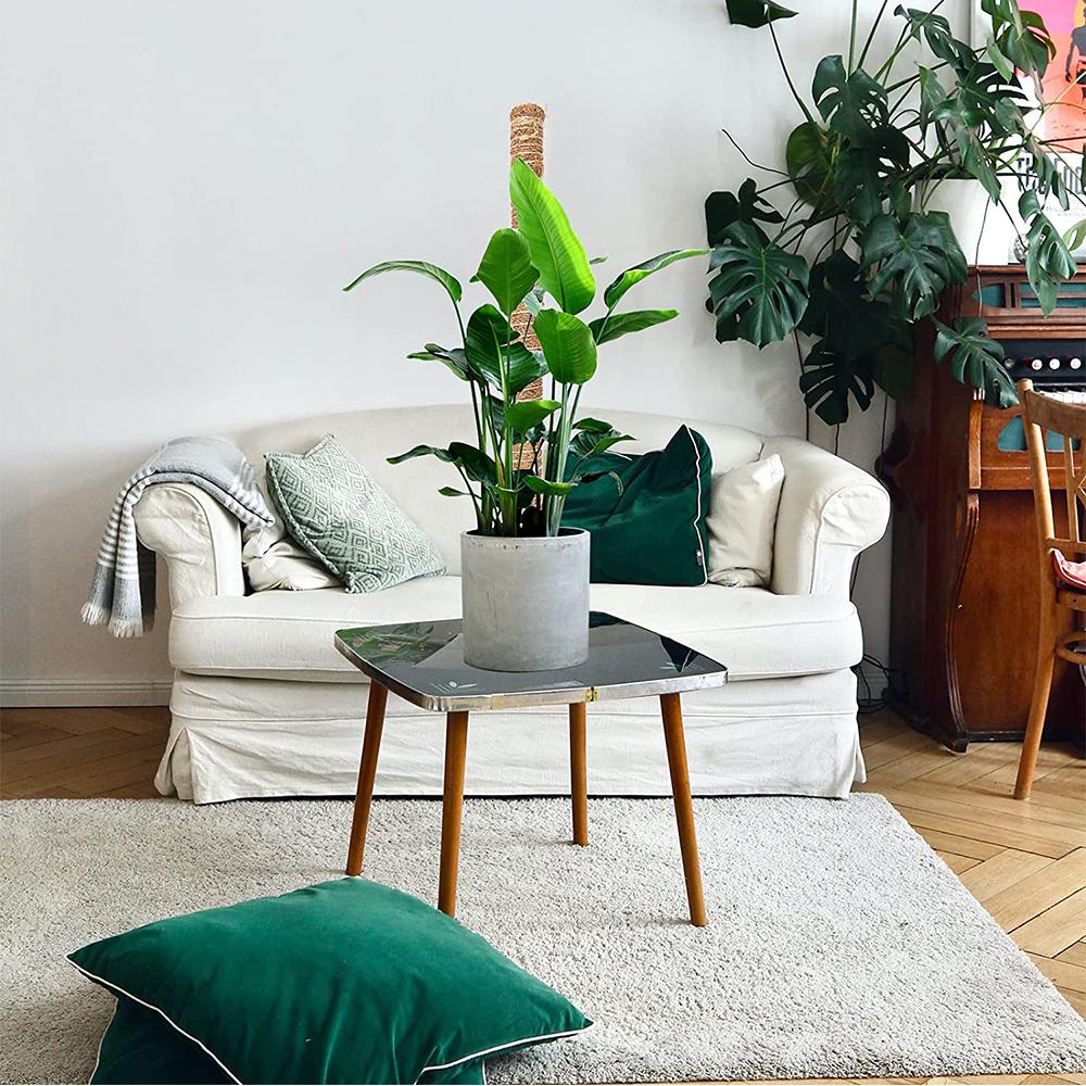 Моховая опора Идеально подходит для роста маленьких и средних вьющихся шпалерных растений в помещении