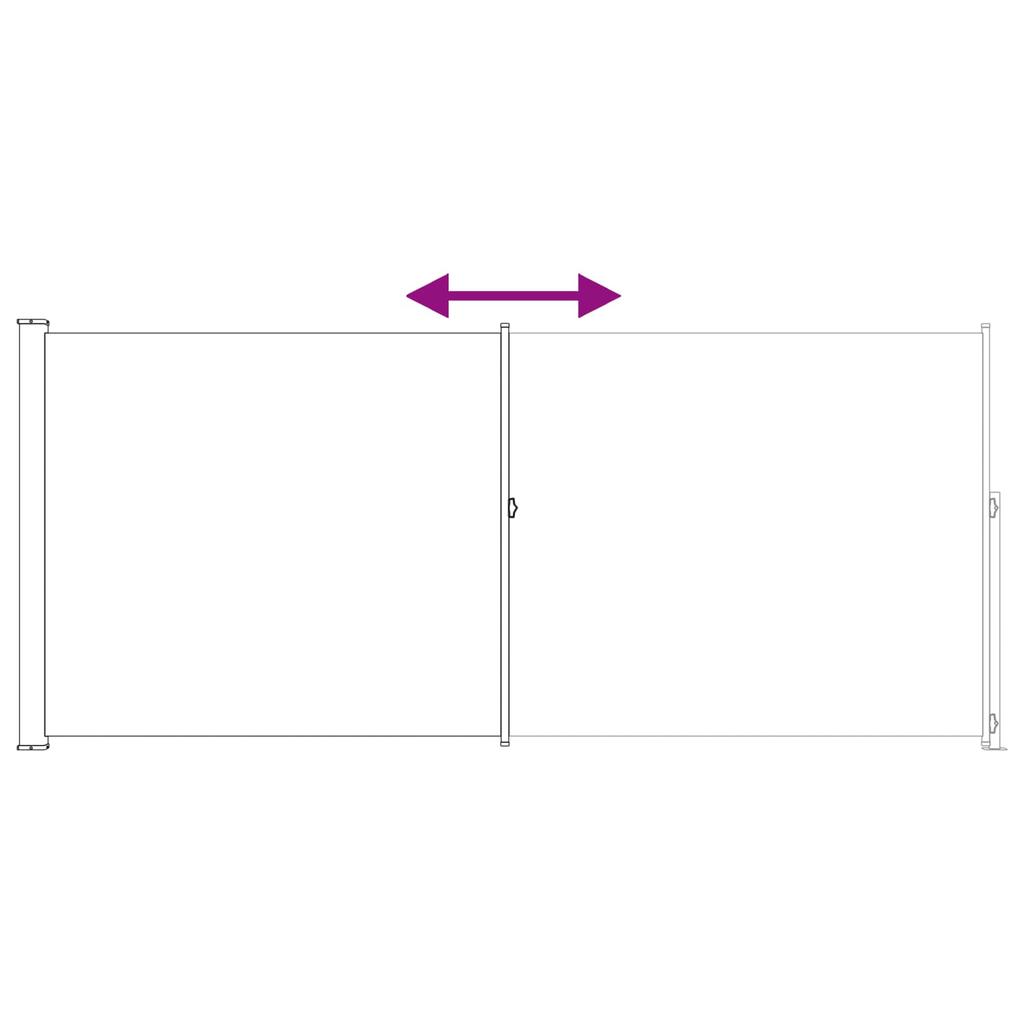Retractable Side Awning Anthracite 300 x 220 cm Polyester