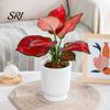 Breathable Plant Pot Self Watering Plastic Flower with Water Reservoir Easy Care Indoor Planter Wick Ropes Modern for Home Office Desktop Low