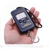 Portable 40kg/10g Electronic Hanging Fishing Digital Pocket Weight Hook Scale
