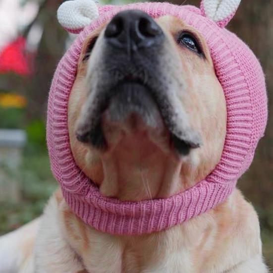 Детская шапка зимняя вязаная шапка для домашних животных, эластичная, сохраняет тепло, однотонная, с декором для ушей, для мальчиков и девочек, шапочка-бини для фотосъемки, головной убор