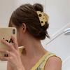 Y2k Hair Clip Hollow Shark Clip Fashion Cheese Acetate Hair Claw  Wash Face