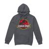 Jurassic Park Unisex Adult Distressed Logo Hoodie