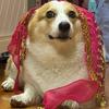 Corgi Belly Dance Hip Towel Decorative Belt Pet Dog Skirt Shake Waist Dance Pet Accessories Dance Chain Clothes Sequin Hip