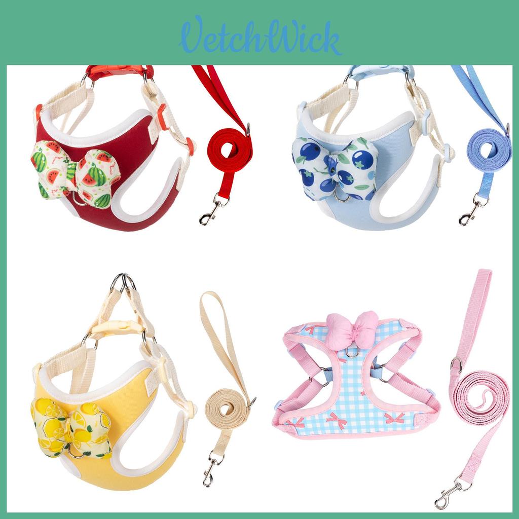 Dog Traction Rope With Bowtie Fabric Non Extensible For Walking And Training