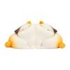 Gift Cat Shaped Kawaii Book Holder Resin Portable Hug Cat Bookshelf Durable Cute Cat Decorative Bookends Table Storage Supplies