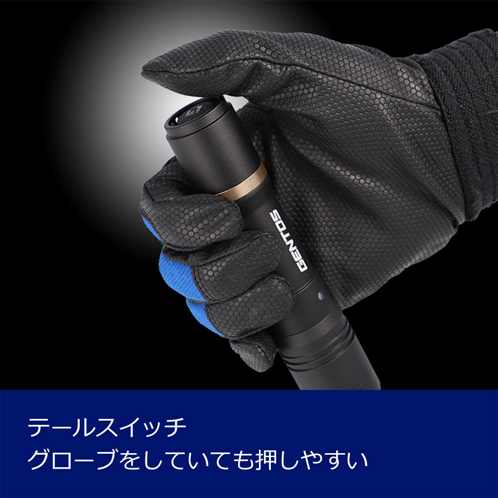 GENTOS Flashlight LED Light Rechargeable (Dedicated Charging) Powerful 500 Lumens Rexceed RX-285R Handy Light Flashlight