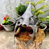 Handcrafted  Helmet Lord of the Rings-Inspired Dark Rider Helmet for Cosplay, Collectors