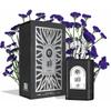 Al Wataniah Qahir Eau De Parfum 100 ml (man)