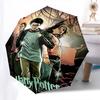 1pc Harry Potter, Prisoner of Azkaban Automatic Folding Umbrella - Compact 8-Rib Design, Durable Plastic & Iron1243L