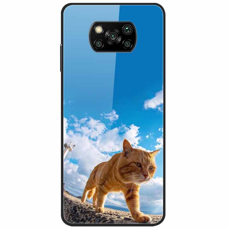 For Poco X3 Pro Case Fashion Cute Tempered Glass Luxury Coque Covers for Xiaomi Poco X3 NFC Cases PocoX3 X 3 Bumper Protector