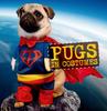 Книга Pugs In Costumes By Virginia Woof - Hardcover