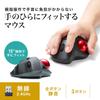 SANWA SUPPLY Беспроводной трекбол, Тихий, 3 кнопки, Оптический, MA-WTB129BK