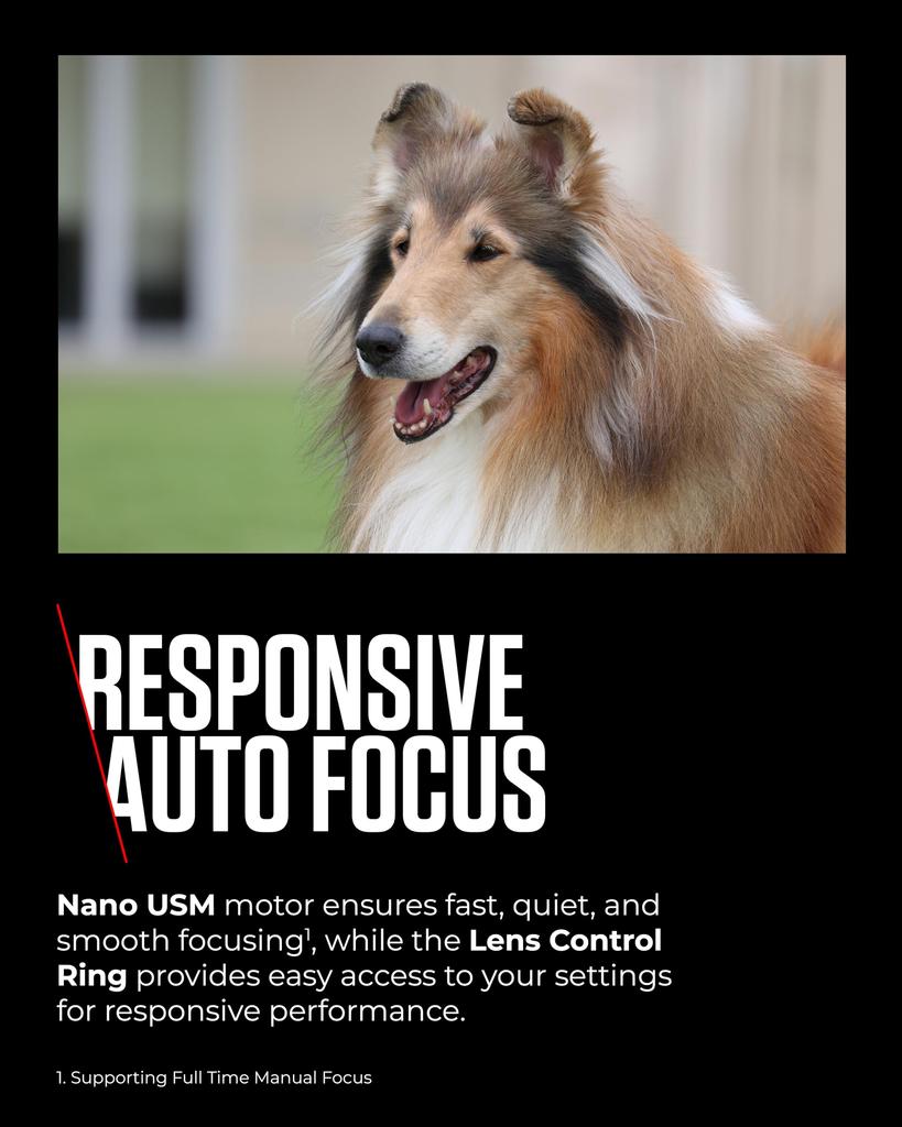 Canon RF IS USM Lens for Canon R System Cameras Ideal for Wildlife Action and Aviation 100-400mm F5.6-8 - Photography, Sports,