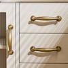 Light Luxury Brass Cabinet Knobs Drawer Pull Shell Shaped Handle Cupboard Handles  Interior Design