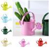 Thickened Mini Metal Watering Can Large Capacity Sprinkler Water Spraying Pot Gardening