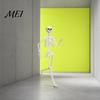 Life-like Skeleton Decoration 3ft Life Size Halloween Skeleton, Full Body Posable Plastic Prop, Realistic Poseable Prop Human Bones Model for
